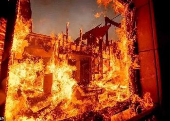 Wildfire death toll hits 24 as Los Angeles set for more strong winds