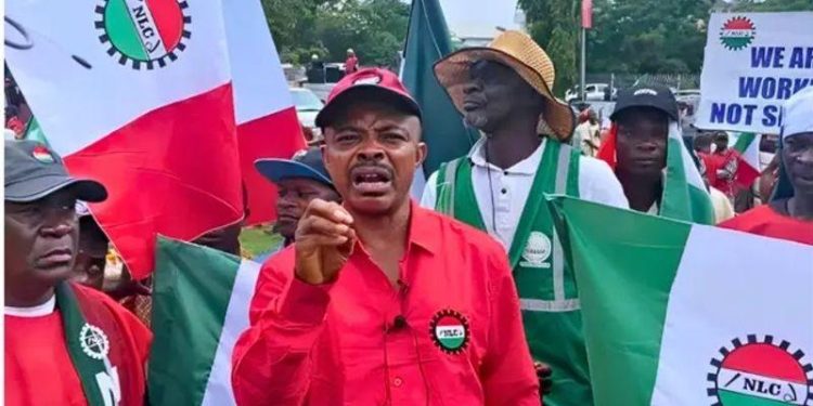 Tariff hike: NATCOMS not in support of NLC’s proposed protest – Ogunbanjo