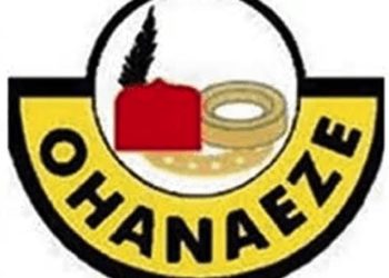Election of Ohanaeze P-G: Group drums support for former IGP