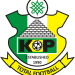 ‍NPFL: Kano Pillars FC suspend technical adviser over poor results
