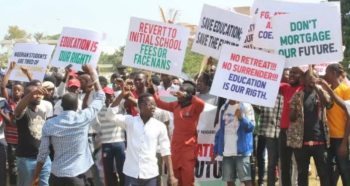NANS protests exclusion from NELFUND board