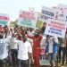 NANS protests exclusion from NELFUND board
