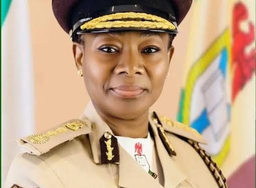 NIS introduces contactless passport application system for Nigerians in Europe