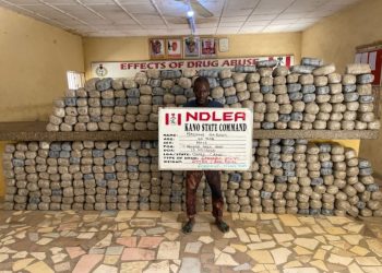 NDLEA intercepts U.S., Saudi Arabia-bound cocaine, seizes large consignments of skunk, heroin in Kano, Kwara, Kaduna, others