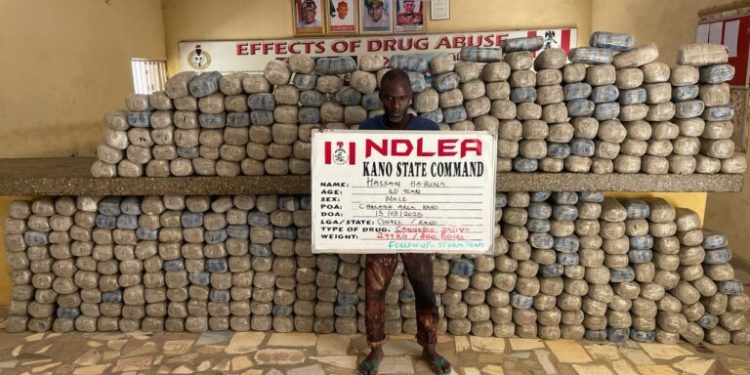 NDLEA intercepts U.S., Saudi Arabia-bound cocaine, seizes large consignments of skunk, heroin in Kano, Kwara, Kaduna, others