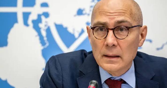 UN rights commissioner condemns mosque attack in Niger