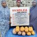 NDLEA intercepts Saudi-bound cocaine hidden in body cream, grandma arrested with 5.6kg skunk