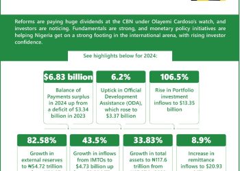 Yemi Cardoso and his safe pair of hands at  CBN – Toni Kan