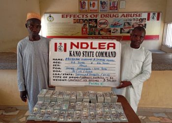 NDLEA intercepts N9.3bn worth of opioids in Rivers