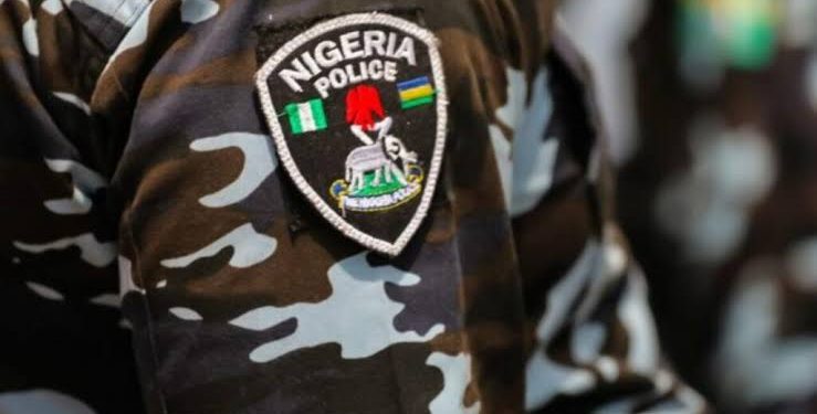 Police confirm deadly attack on Benue town