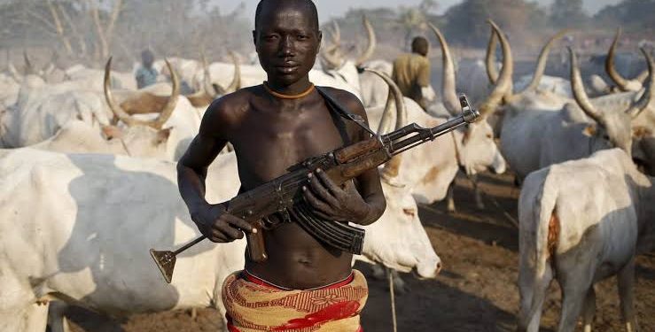Declare armed herders terrorist group, Council boss urges FG