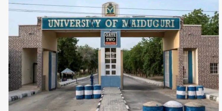 University of Maiduguri
