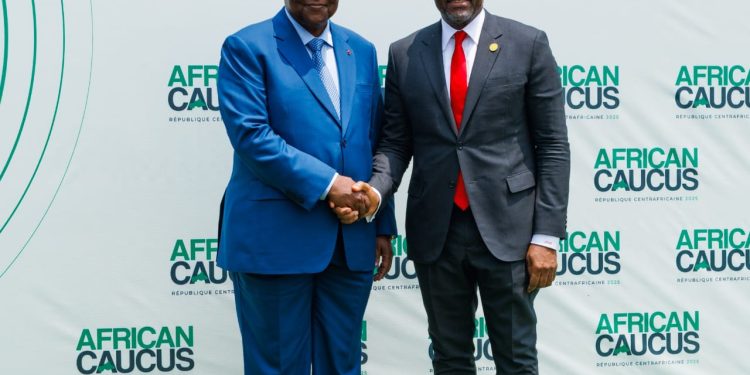 President, Central African Republic,  Faustin-Archange Touadéra and Group Chair, UBA and Heirs Holdings and Founder, Tony Elumelu Foundation, Mr. Tony Elumelu