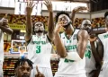 D'Tigers
