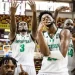 D'Tigers