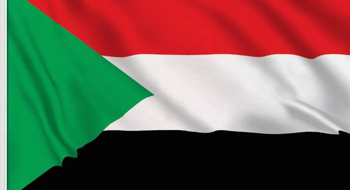 Sudan: Alarming food shortage pushes people to eat animal feed