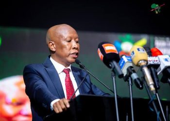 Malema hails Nigeria’s contributions to S/Africa’s freedom, denounces xenophobia
