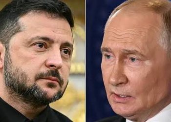 Putin signals readiness for Zelensky meeting