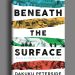 Bishop Kukah, Fayemi, Anya, Kyari Mohammed endorse Dakuku Peterside’s ‘Beneath the Surface’