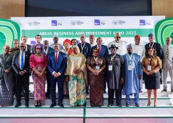 Elumelu underscores critical role of private sector as engine of transformation