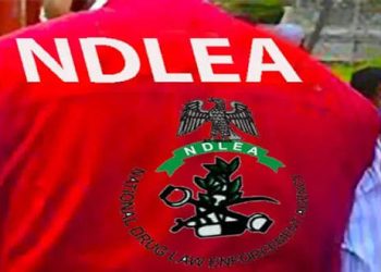 NDLEA intercepts U.S., UK, DRC-bound illicit drug consignments at Lagos airport