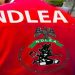 NDLEA intercepts U.S., UK, DRC-bound illicit drug consignments at Lagos airport