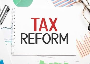 New tax system favourable to youths, small business owners – Presidential aide