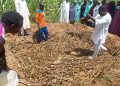 Soil Values, CDA bring Soil Fertility Management closer to farmers in Kano, Jigawa