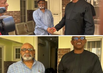 How I escaped assassins’ bullets, by Ngige