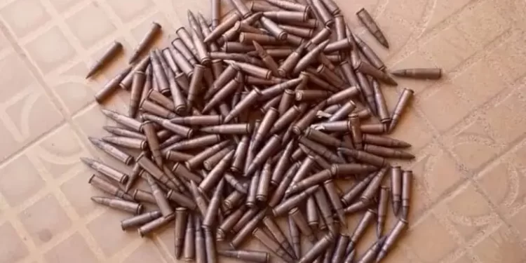 Police find 210 rounds of ammunition on  highway