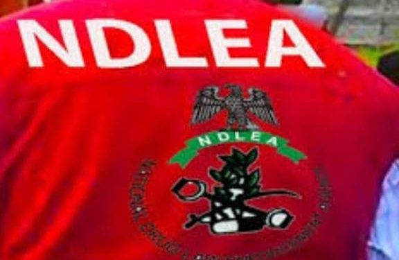 NDLEA dismantle 6 syndicates, intercepts Meth, cocaine consignments at Lagos airport