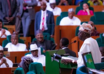 Dissecting Tinubu’s budget speech: discipline as doctrine, boldness as signal, security as core, by Sunday Dare
