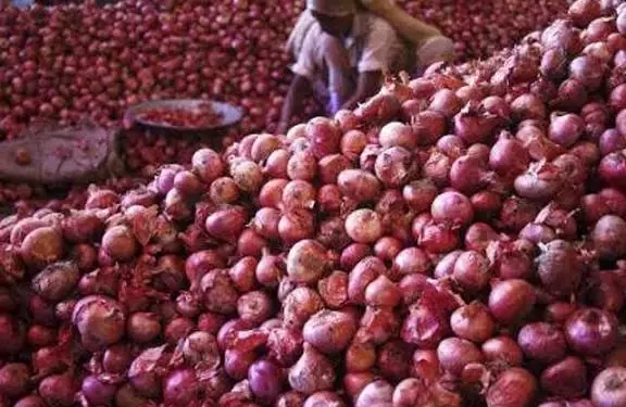Onion farmers forecast soaring cost of produce in yuletide