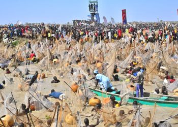 Argungu Fishing Festival: Winner smiles home with Toyota cars, N1m cash