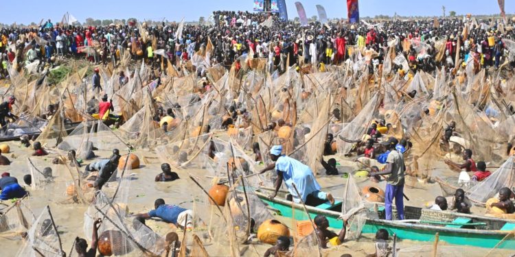 Argungu Fishing Festival: Winner smiles home with Toyota cars, N1m cash