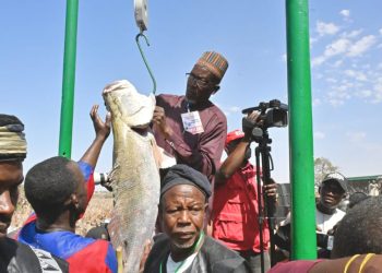 Argungu Fishing Festival: Winner smiles home with Toyota cars, N1m cash