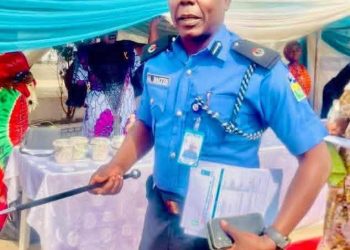 Police chief dies in auto crash