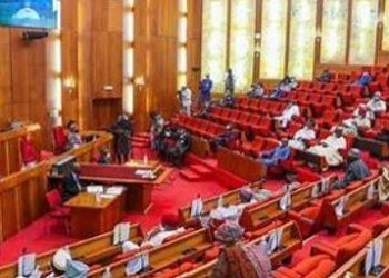 Ifunanya: Senate urges health ministry to ensure safe, affordable antivenoms