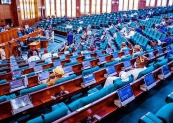 Reps Committee expunges NACETEM’s 2026 budget, recommends DG’s sack