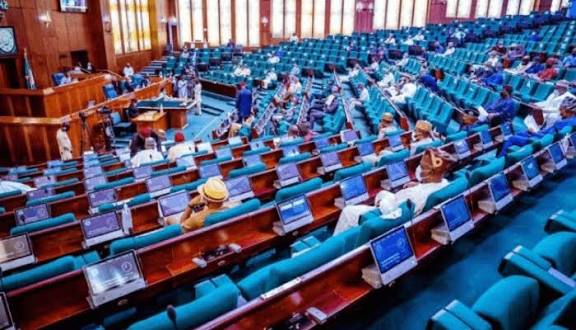 Reps Committee expunges NACETEM’s 2026 budget, recommends DG’s sack