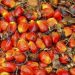 Nigeria unveils plans to join palm oil producing bloc