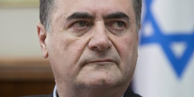 Alt="Israeli Defence Minister Israel Katz"